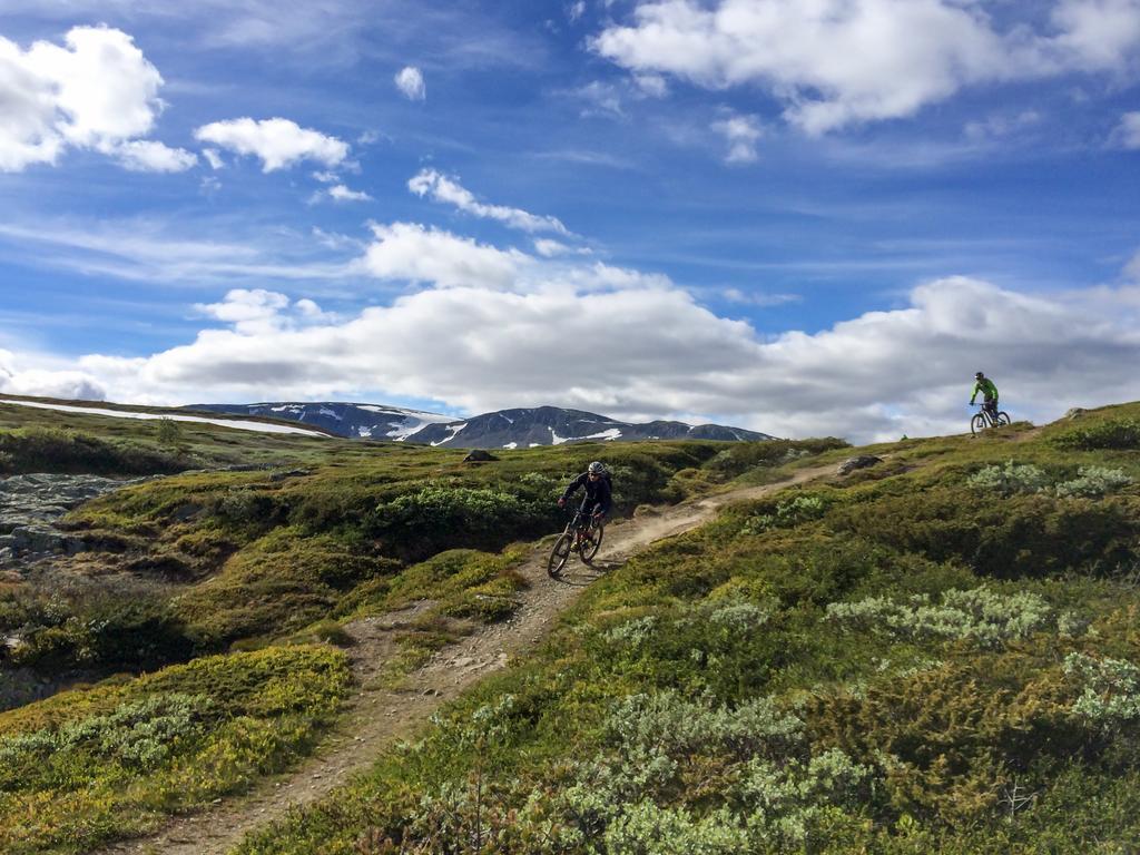 Liatoppen Fjellhotell Ål Dış mekan fotoğraf