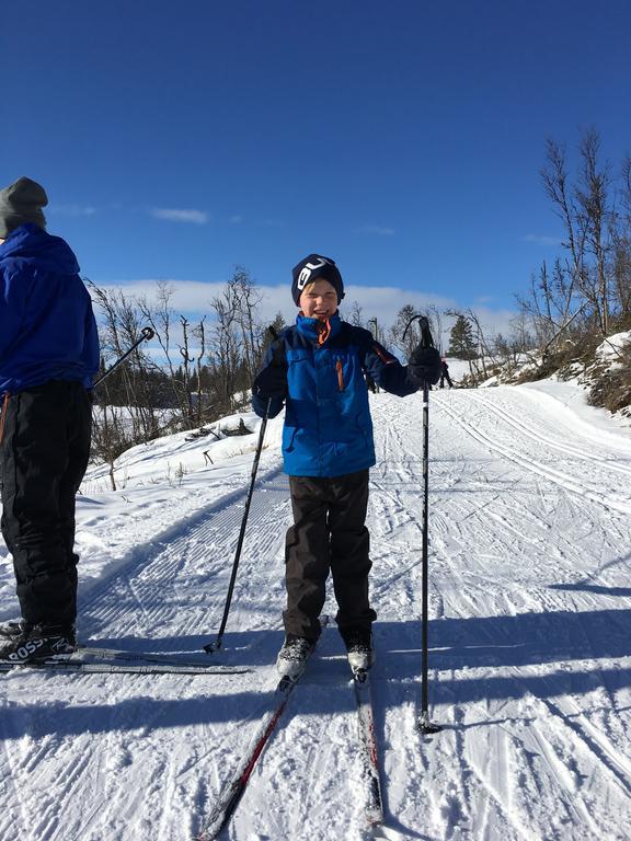 Liatoppen Fjellhotell Ål Dış mekan fotoğraf