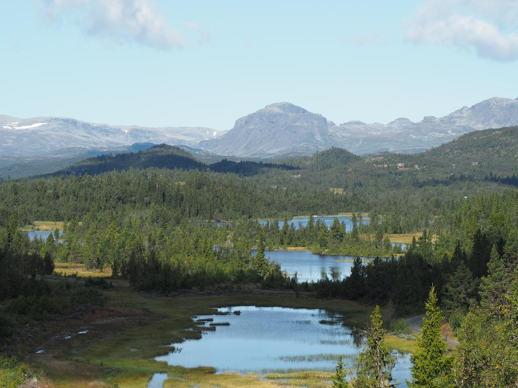 Liatoppen Fjellhotell Ål Dış mekan fotoğraf