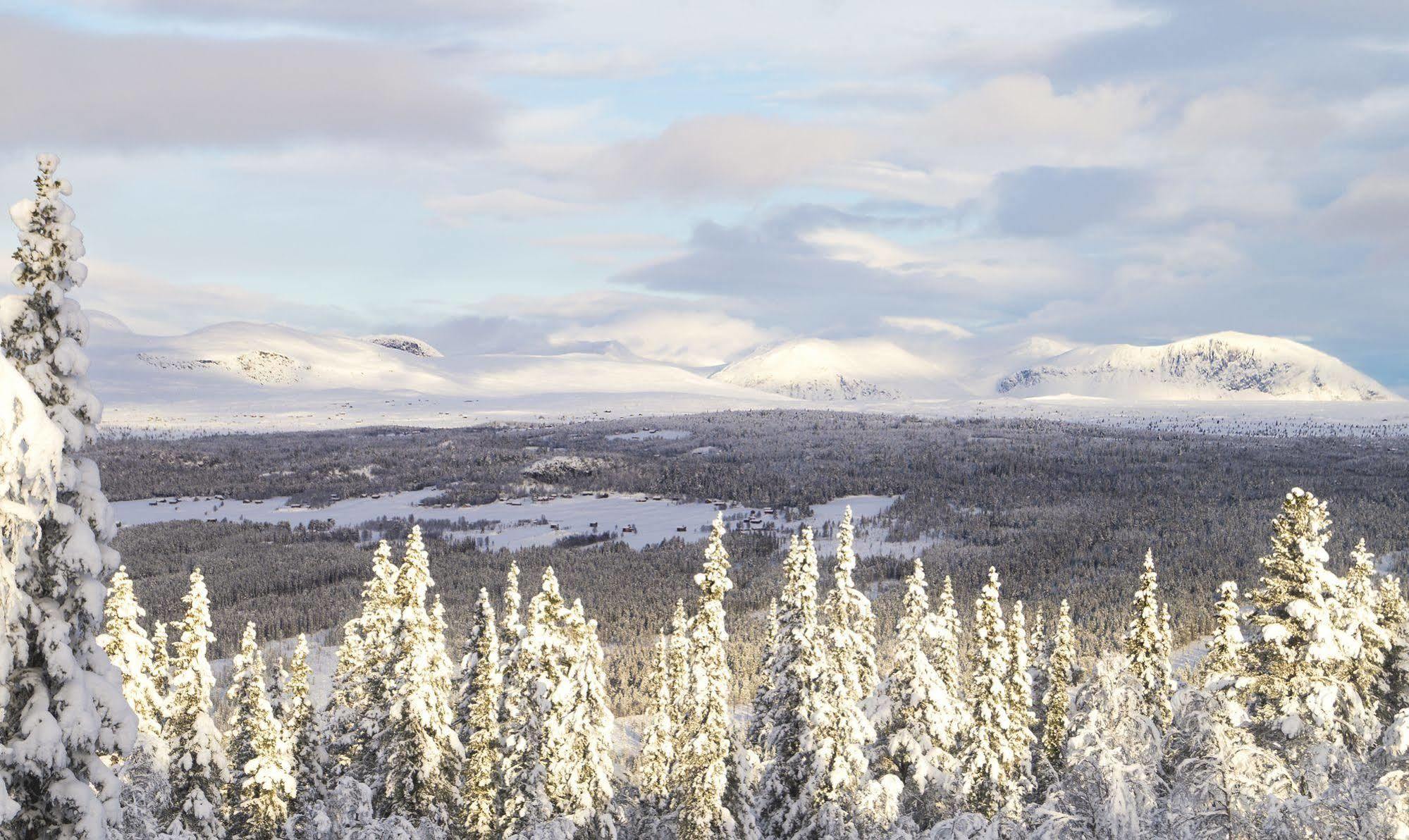 Liatoppen Fjellhotell Ål Dış mekan fotoğraf