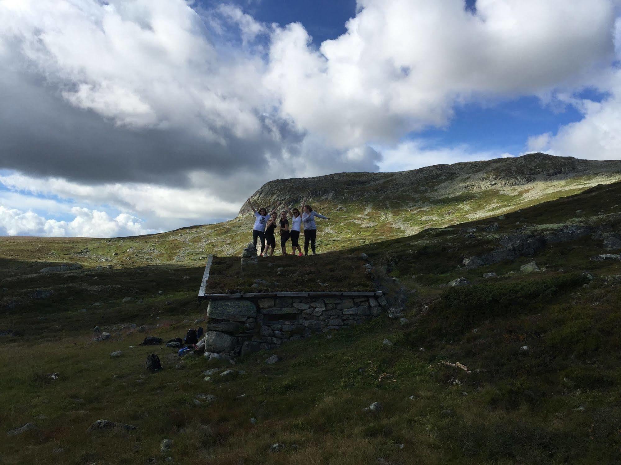 Liatoppen Fjellhotell Ål Dış mekan fotoğraf