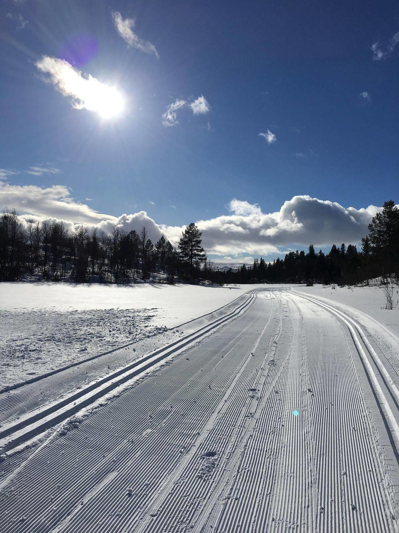 Liatoppen Fjellhotell Ål Dış mekan fotoğraf
