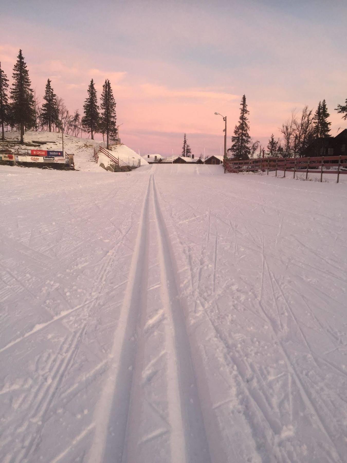 Liatoppen Fjellhotell Ål Dış mekan fotoğraf
