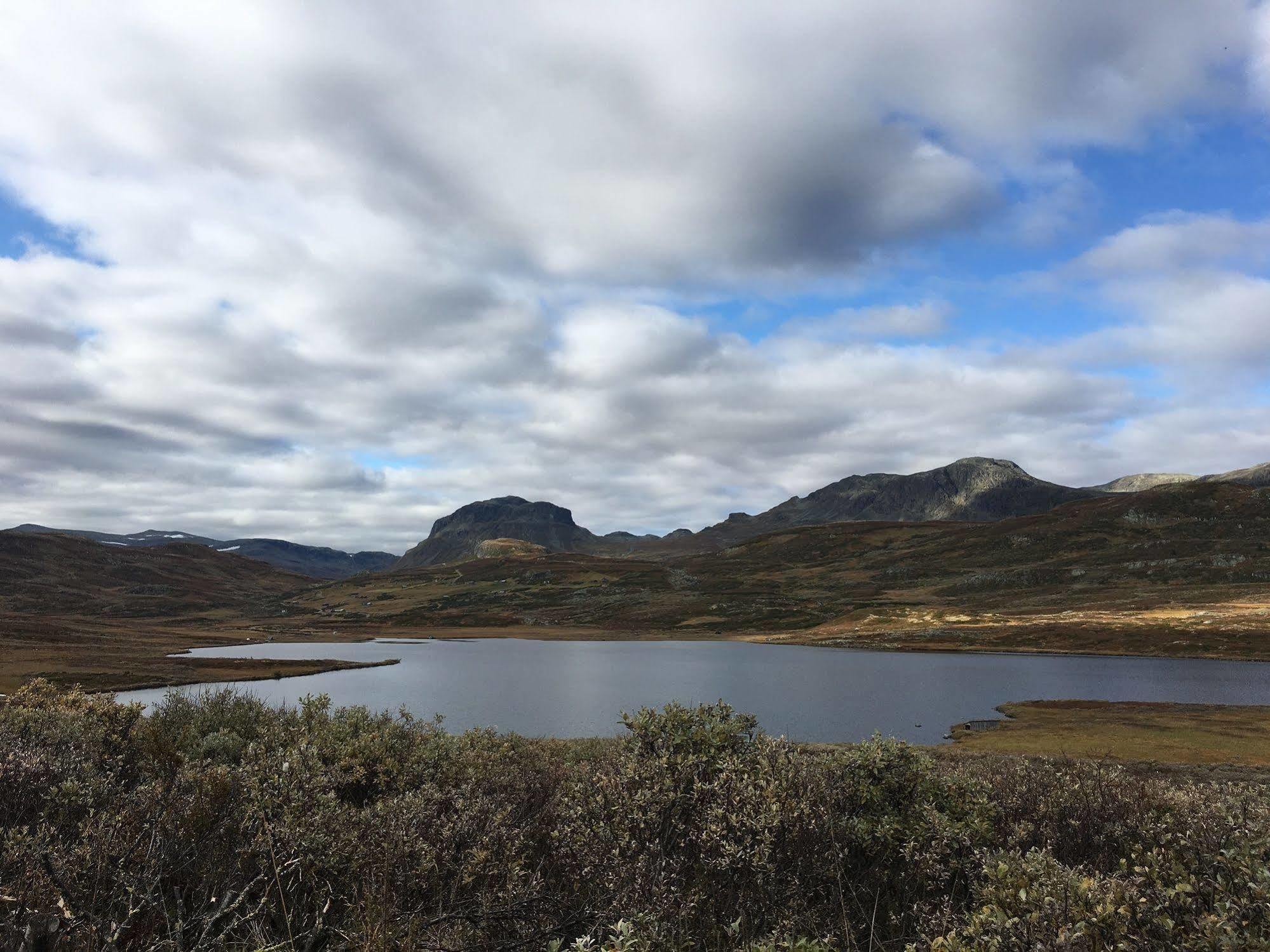 Liatoppen Fjellhotell Ål Dış mekan fotoğraf