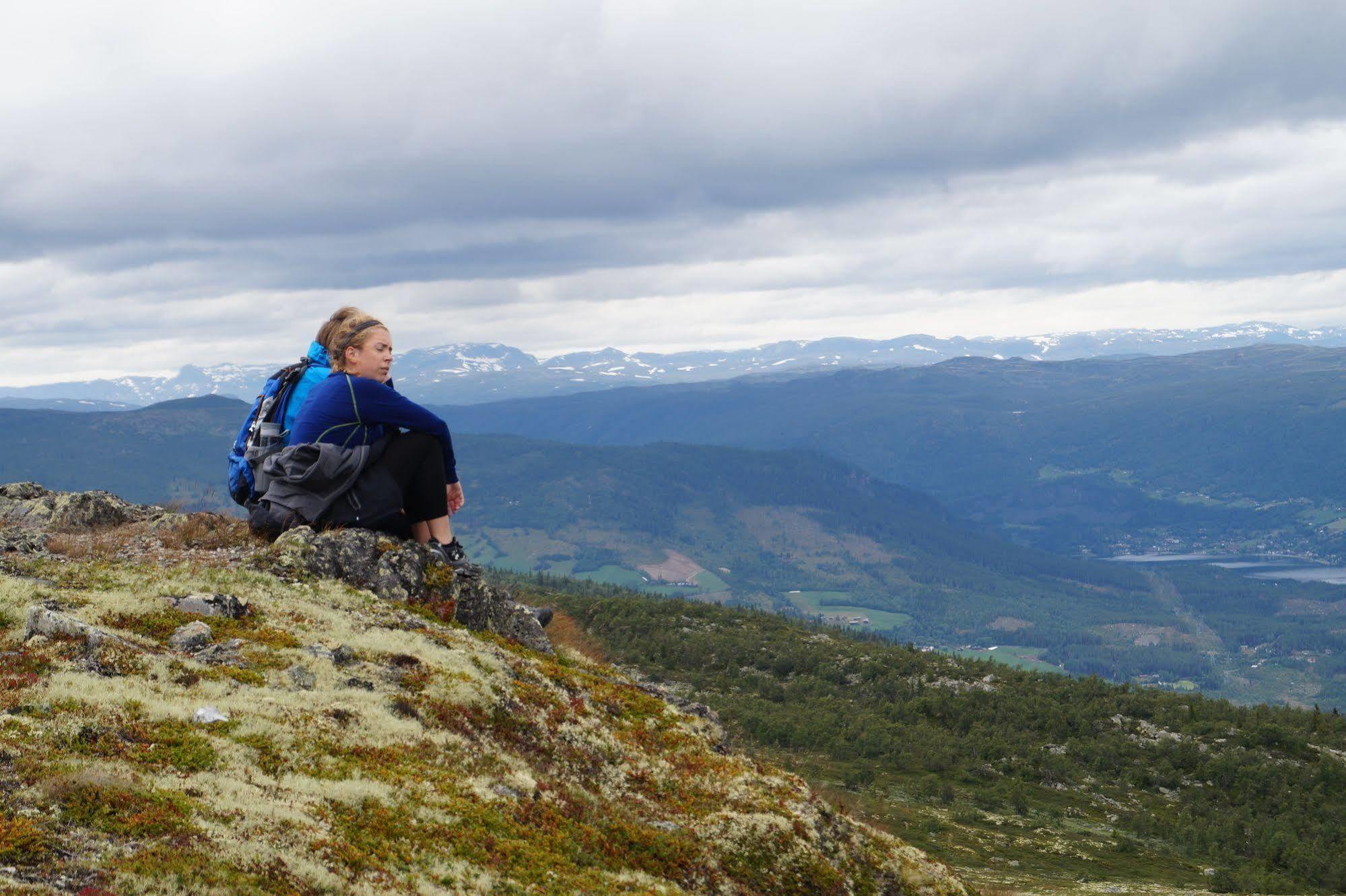 Liatoppen Fjellhotell Ål Dış mekan fotoğraf
