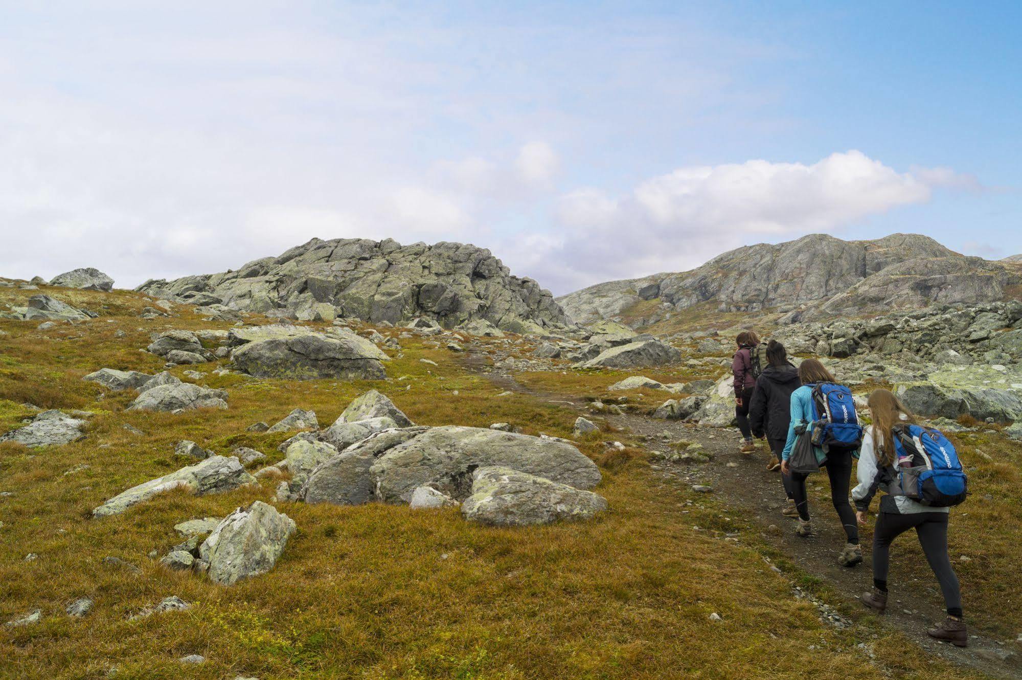 Liatoppen Fjellhotell Ål Dış mekan fotoğraf