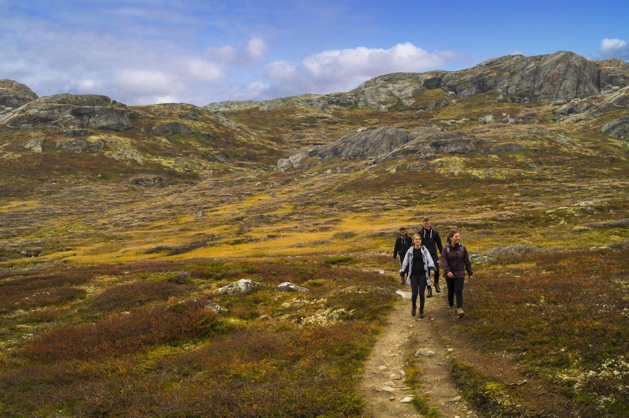 Liatoppen Fjellhotell Ål Dış mekan fotoğraf