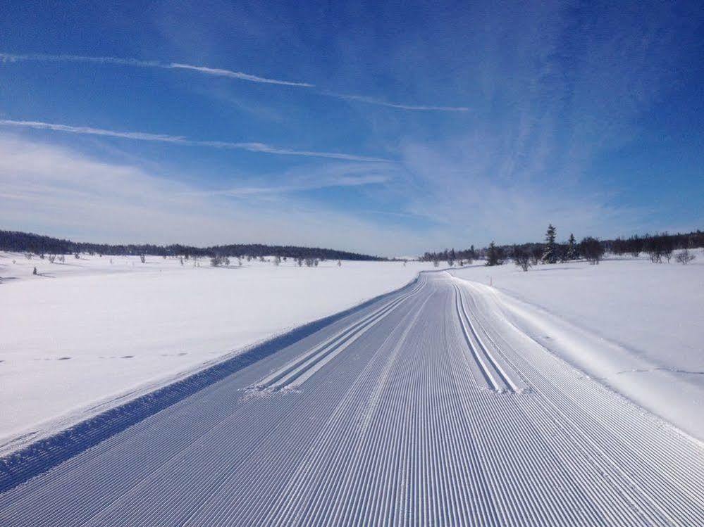 Liatoppen Fjellhotell Ål Dış mekan fotoğraf